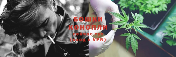 гидра Волосово