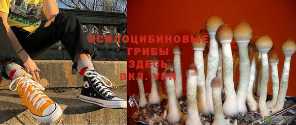 спайс Волоколамск