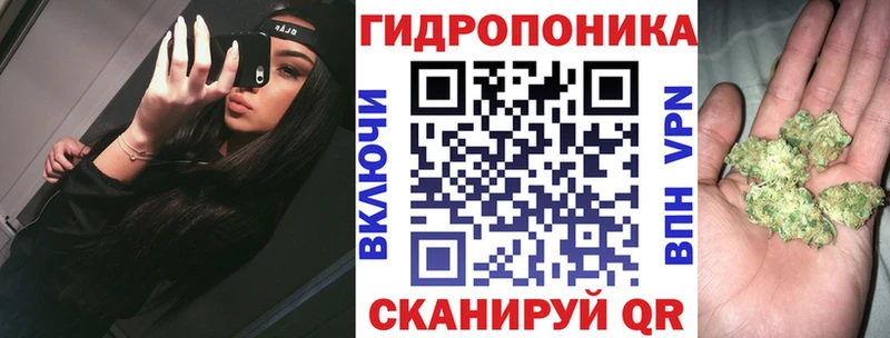 Канабис VHQ  продажа наркотиков  Кочубеевское 